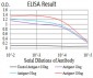 Mouse Monoclonal Antibody to SEC31A